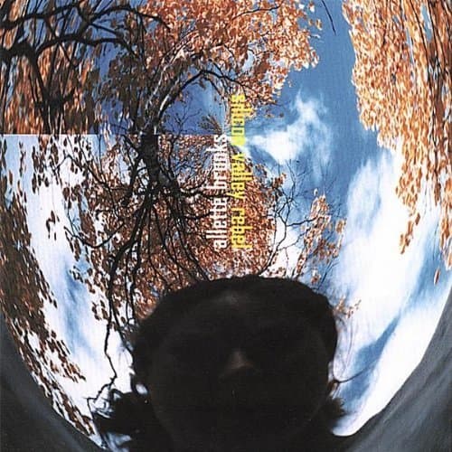 Silicon Valley Rebel by Brooks, Allette (2003-03-25) [Audio CD] by null