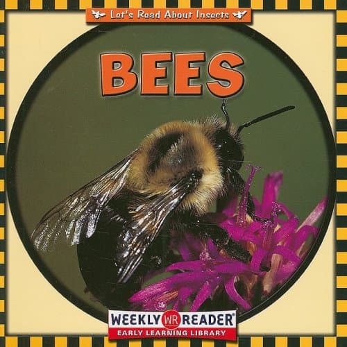 Bees: Let's Read About Insects [Paperback] Ashley, Susan by null