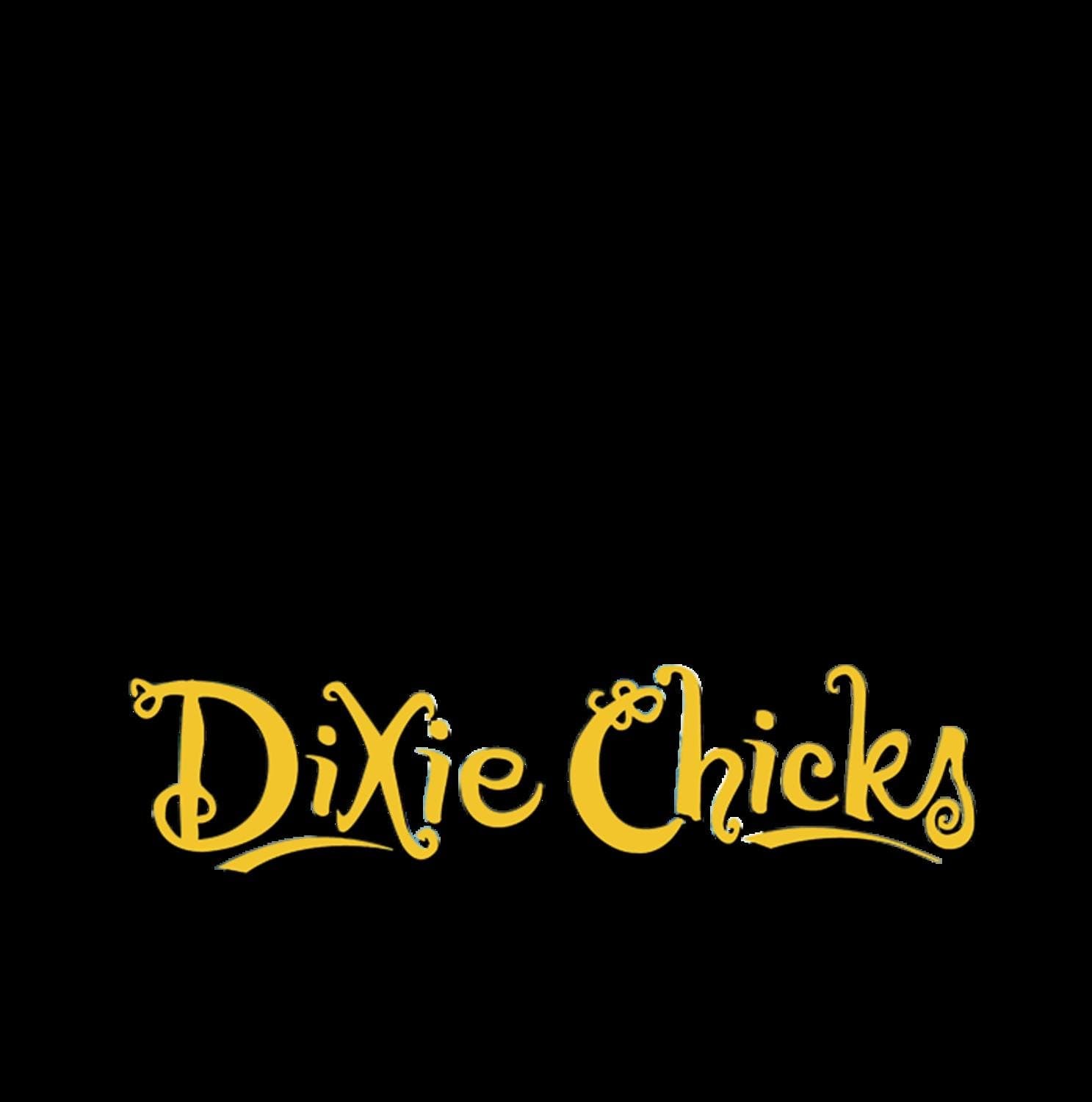 Wide Open Spaces [Audio CD] DIXIE CHICKS by null