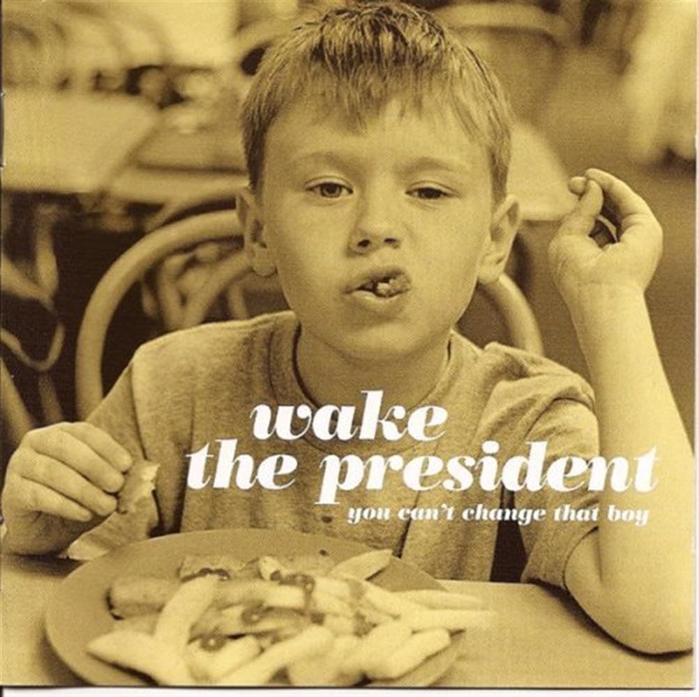 You Can't Change That Boy [Audio CD] Wake the President by null