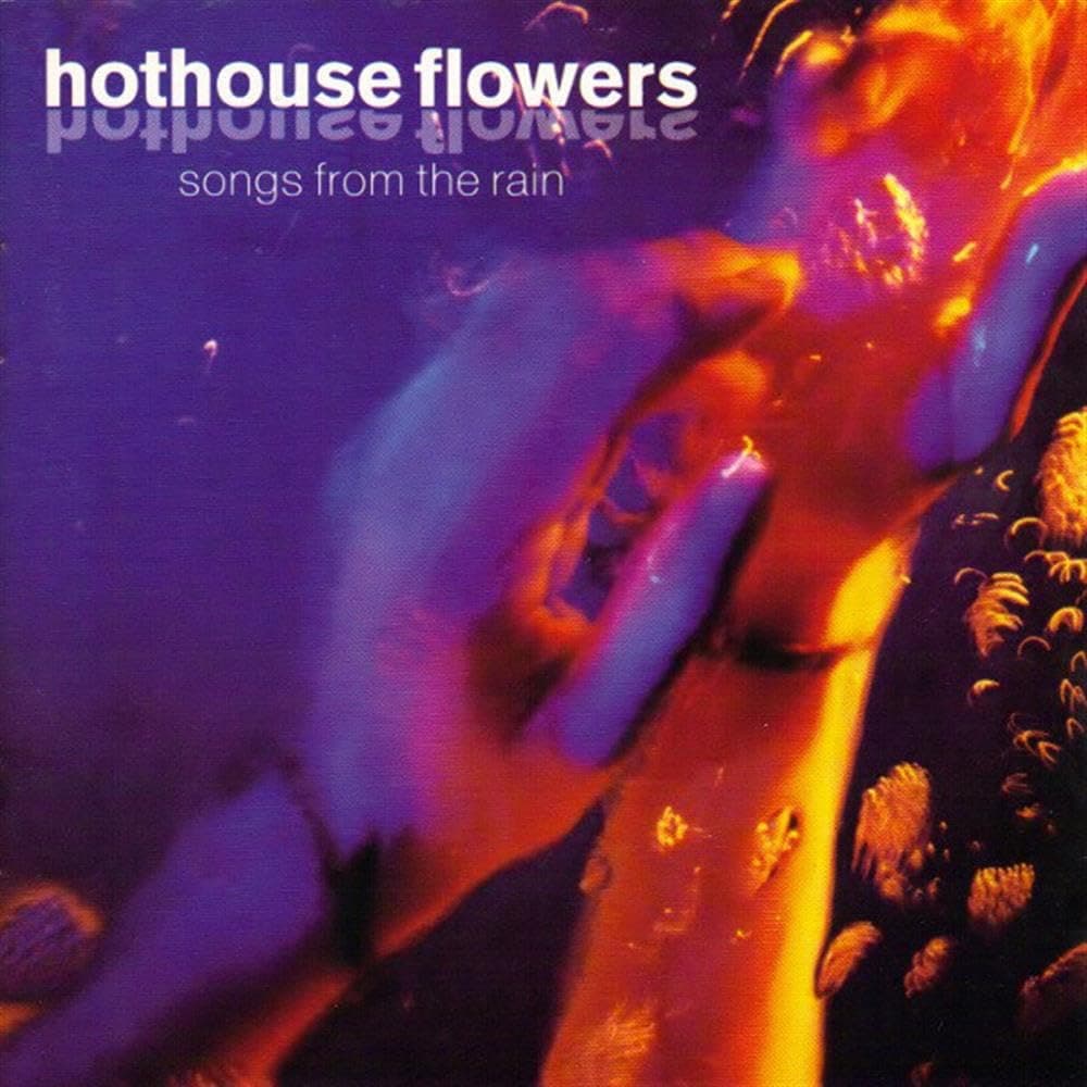 Songs From the Rain