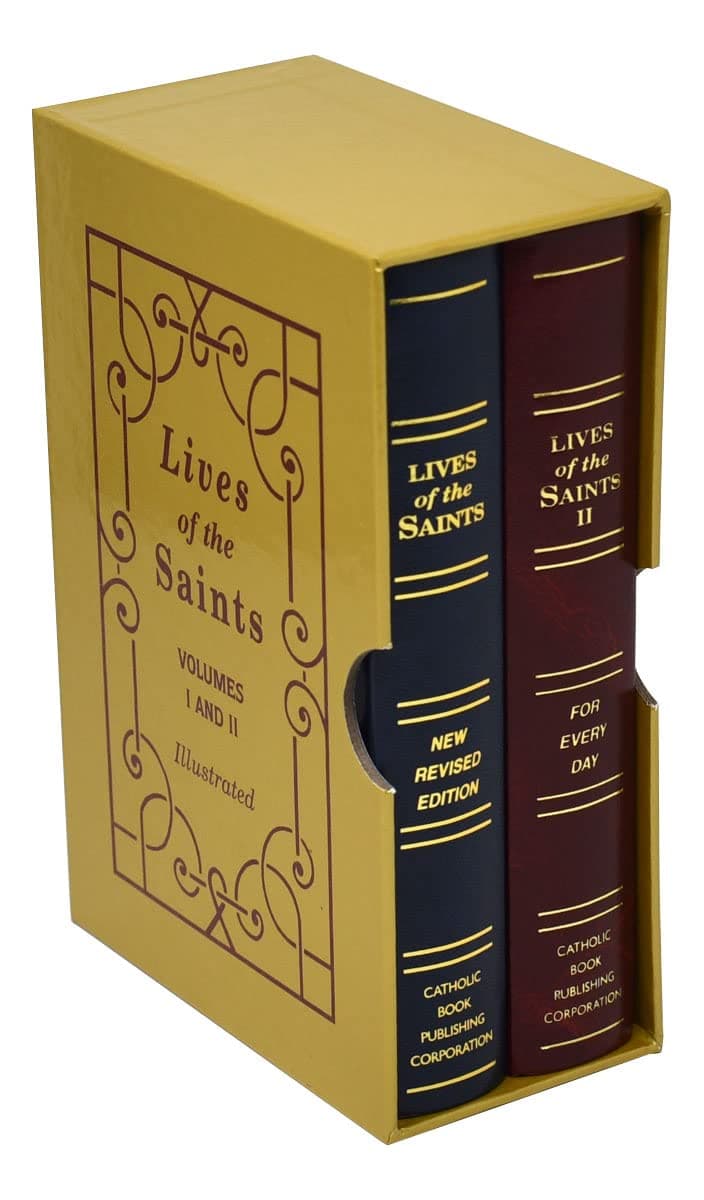 Lives of the Saints Boxed Set: Includes 870/22 and 875/22 [Hardcover] Hoever, H and Donaghy, Thomas J [Hardcover] Hoever, H and Donaghy, Thomas J by null