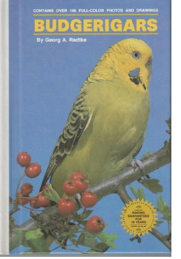 Budgerigars by Radtke, George A.