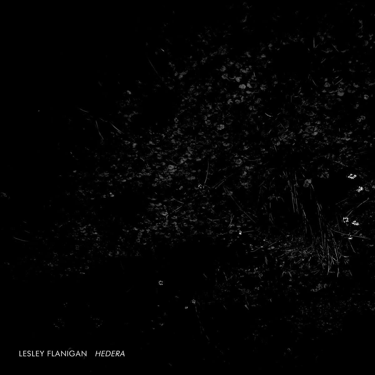Hedera [Audio CD] Lesley Flanigan by null
