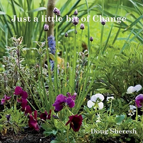 Just a Little Bit of Change [Audio CD] Doug Sheresh by null