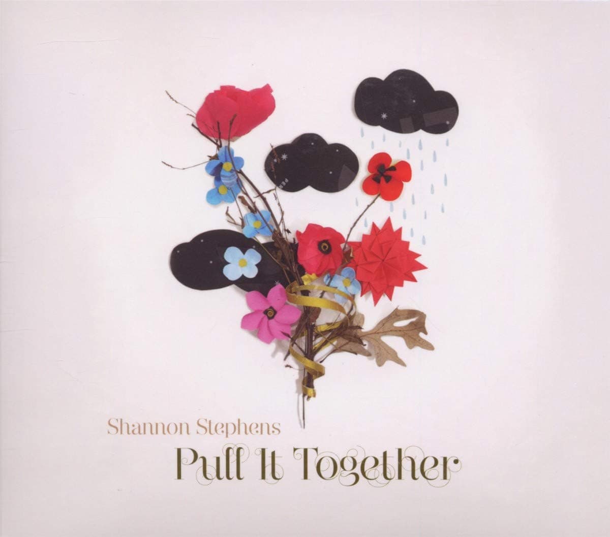 PUT IT TOGETHER [Audio CD] Shannon Stephens; James McAlister; Jeff Fielder; Jason Staczek; Jason Gray; Steve Moore; Andrew Rudd; Kory Kruckenberg; DM Stith; Bonnie "Prince" Billy and Brandon Weber by null