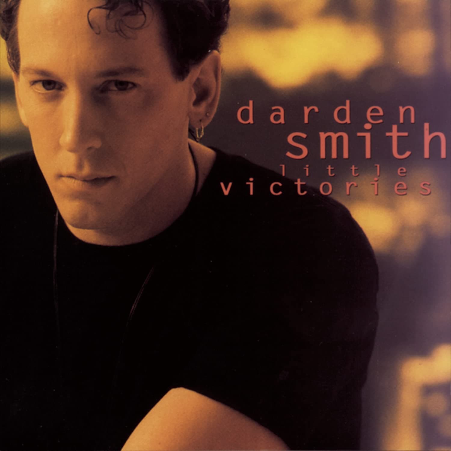 Little Victories [Audio CD] Darden Smith by null