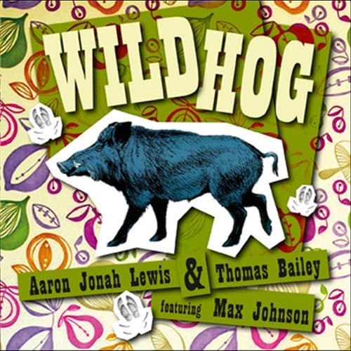 Wild Hog by Aaron Jonah Lewis [Audio CD] by null