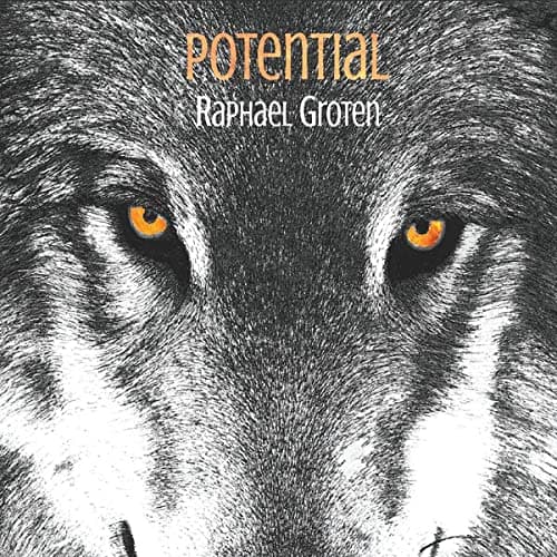 Potential [Audio CD] Raphael Groten by null
