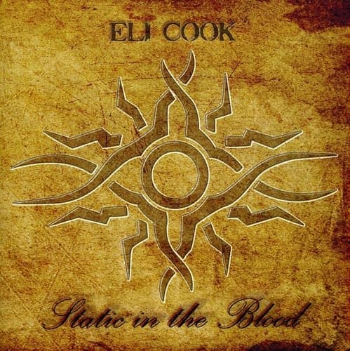 Static in the Blood [Audio CD] Cook, Eli by null