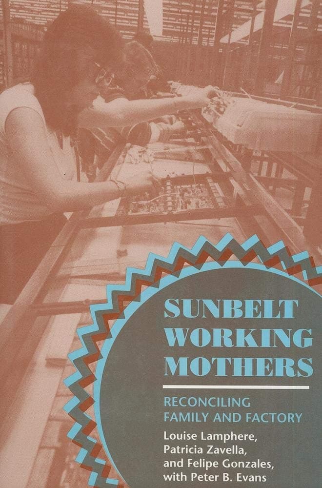 Sunbelt Working Mothers: Reconciling Family and Factory (The Anthropology of Contemporary Issues) [Paperback] Lamphere, Louise; Zavella, Patricia; Gonzales, Felipe and Evans, Peter B. by null