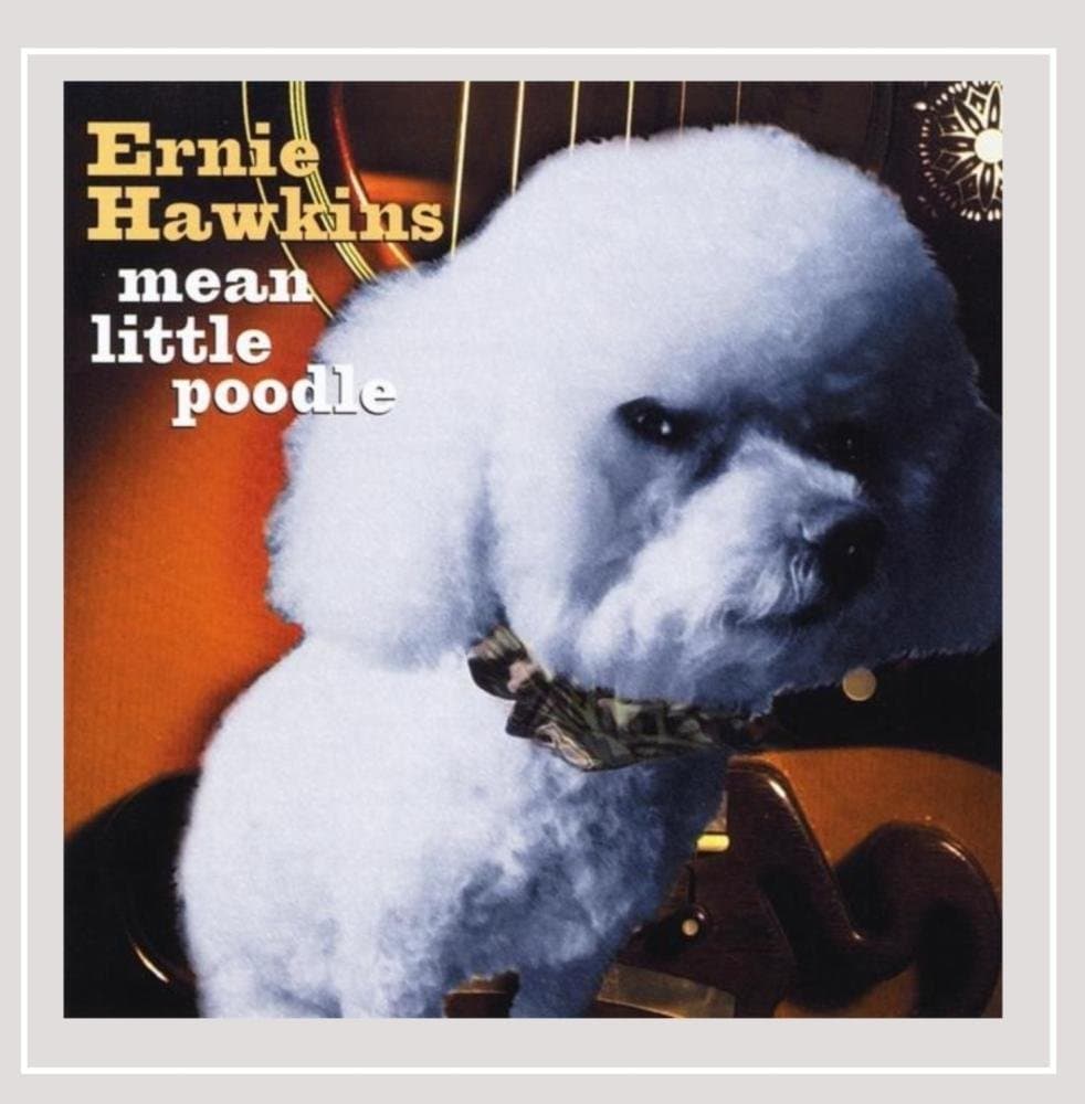 Mean Little Poodle [Audio CD] Ernie Hawkins by null