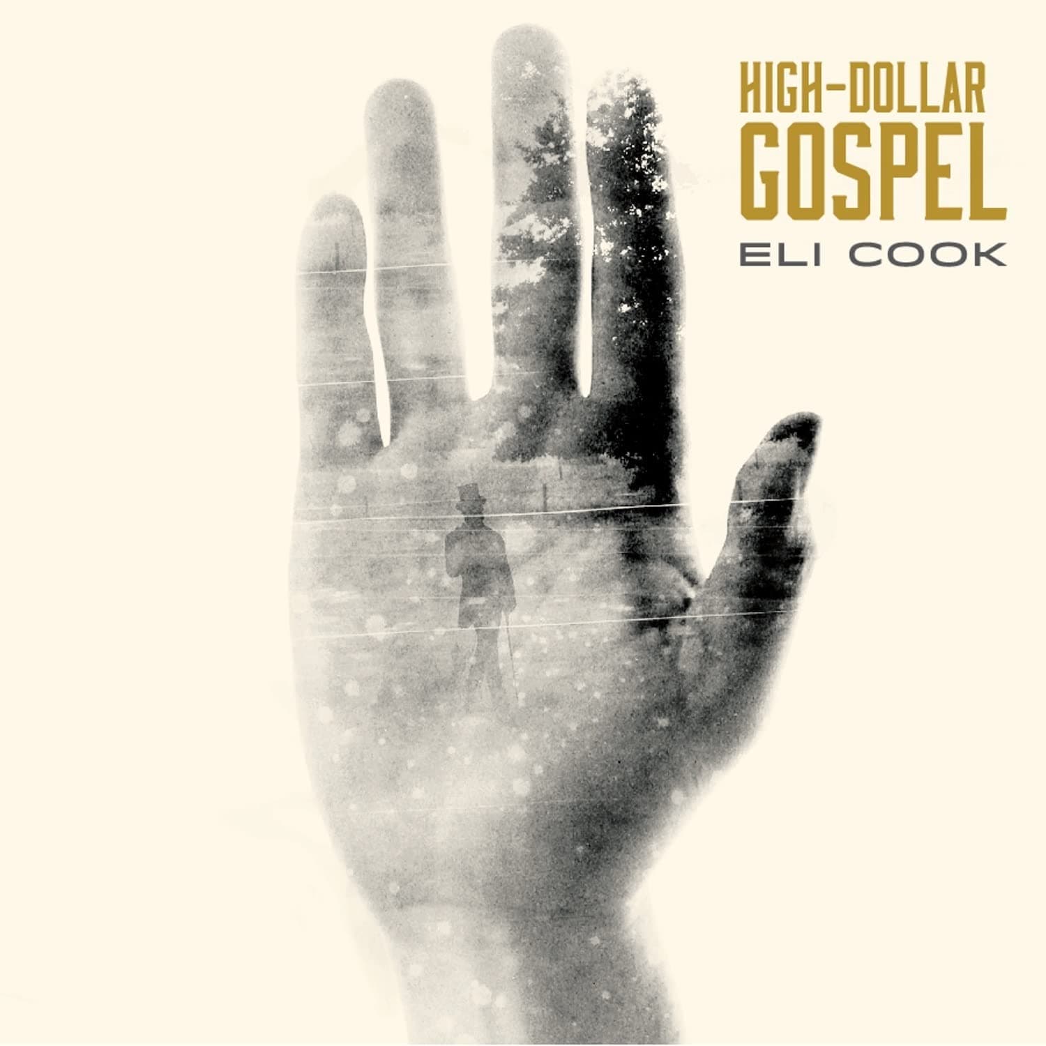 High-dollar Gospel [Audio CD] Eli Cook by null