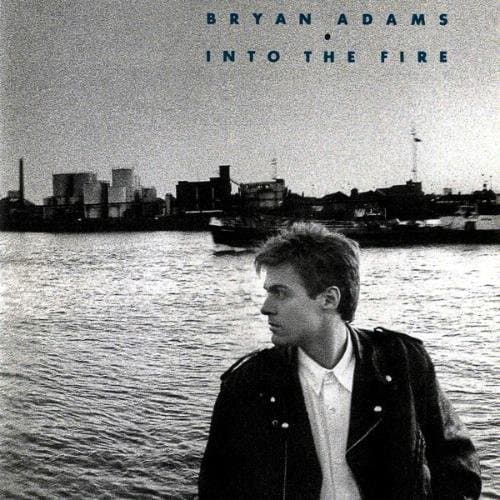 Into the Fire by Bryan Adams [Audio Cassette] by null