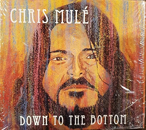 Down To The Bottom [Audio CD] by null