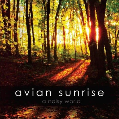 A Noisy World [Audio CD] Avian Sunrise by null