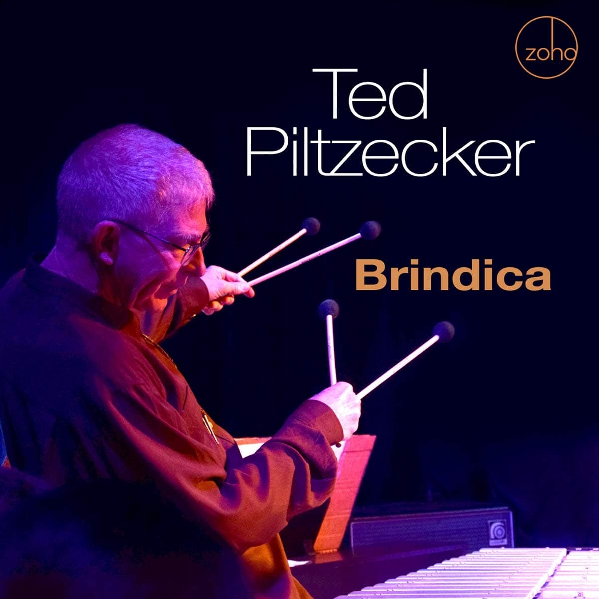 Brindica [Audio CD] PILTZECKER,TED by null