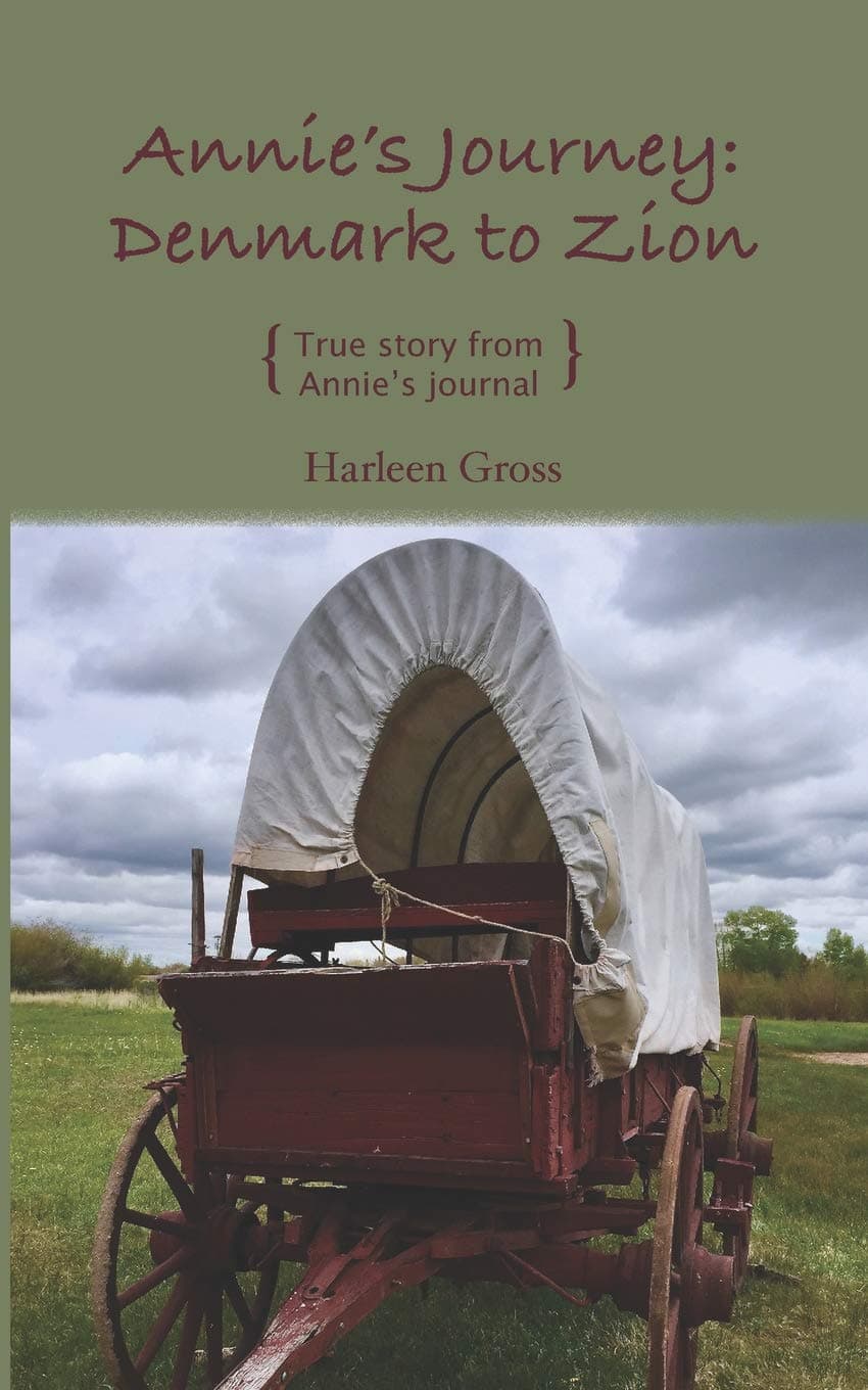Annie's Journey: Denmark to Zion: True story from Annie's journal [Paperback] Gross, Harleen Moore by null