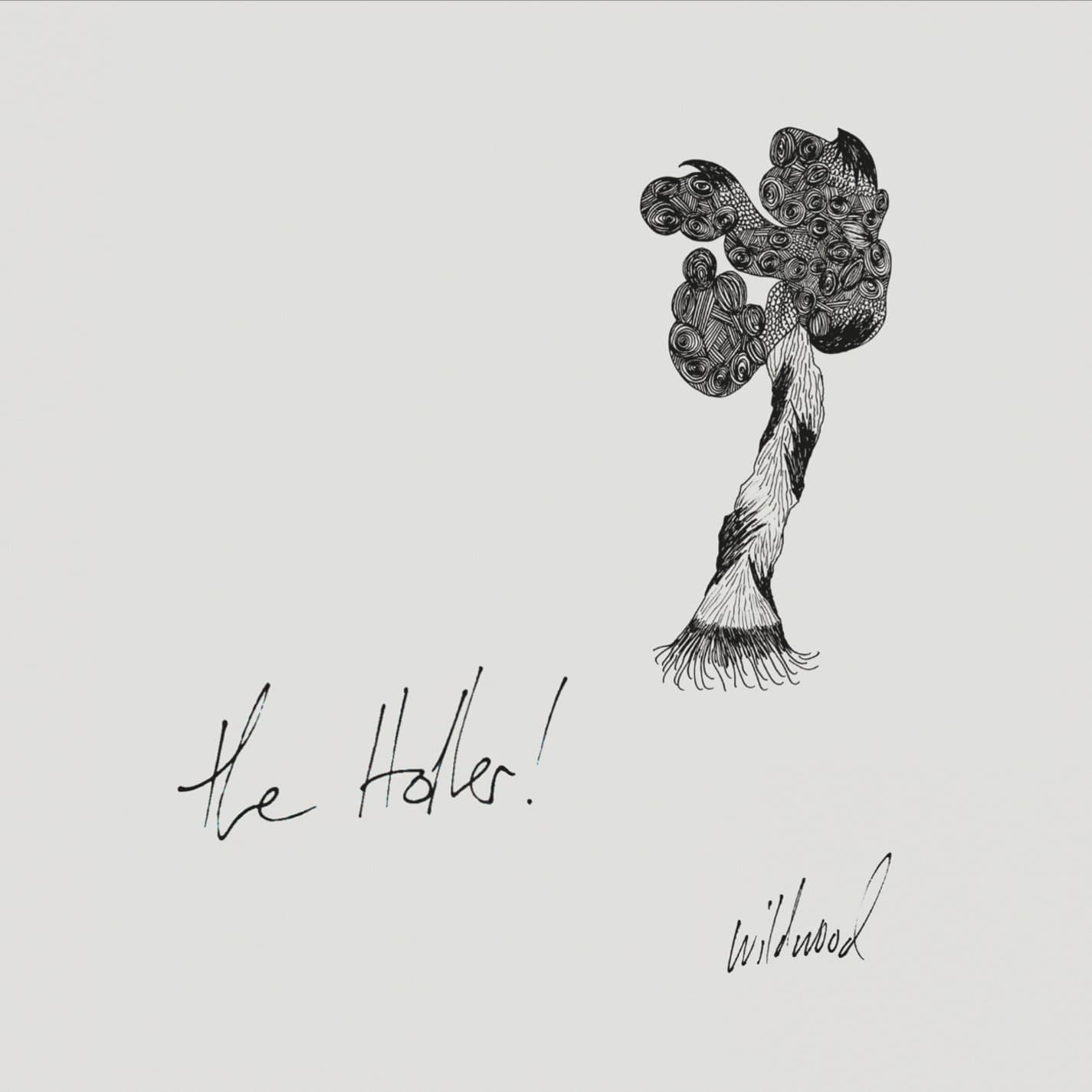 Wildwood [Audio CD] Holler
