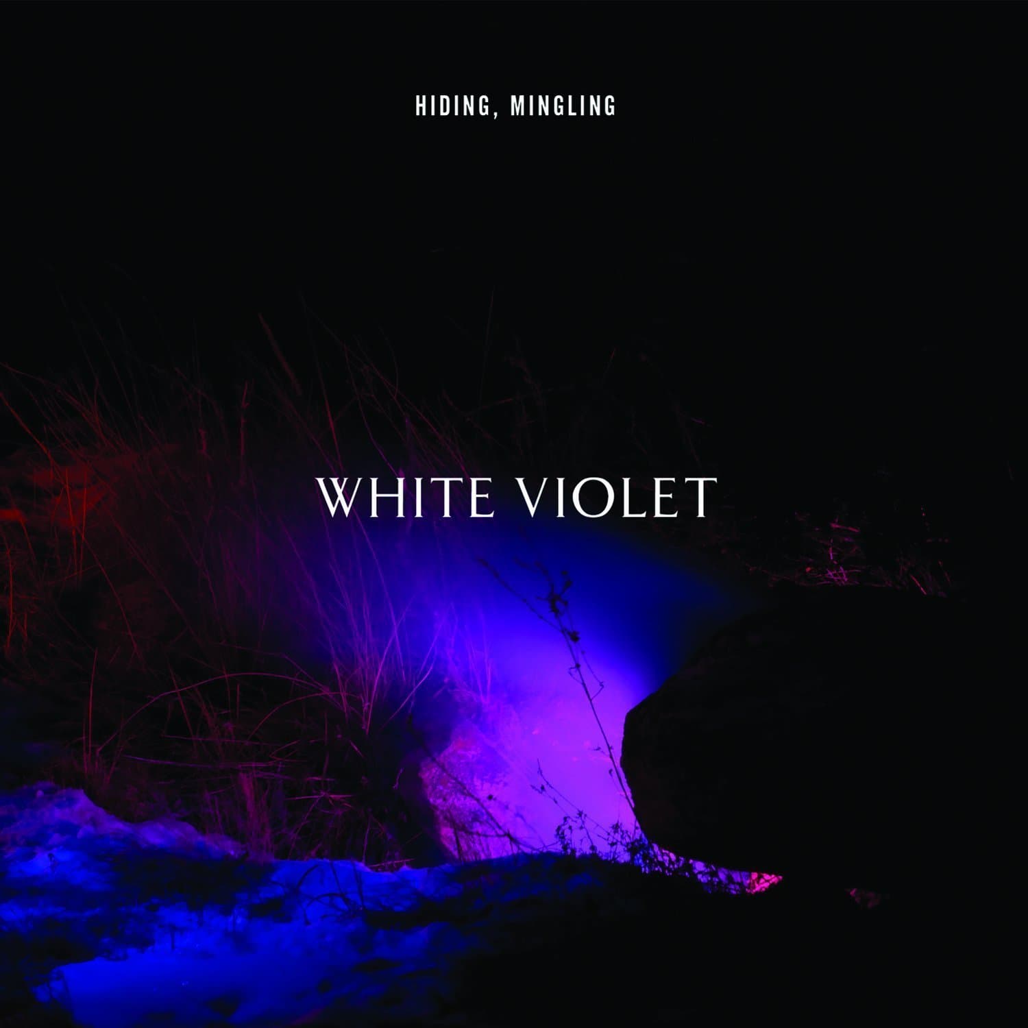Hiding, Mingling [Audio CD] White Violet by null