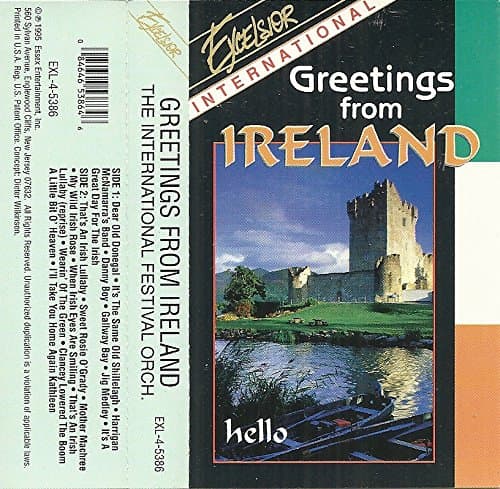 INTERNATIONAL FESTIVAL ORCHESTRA [CASSETTE] [Audio Cassette] by null