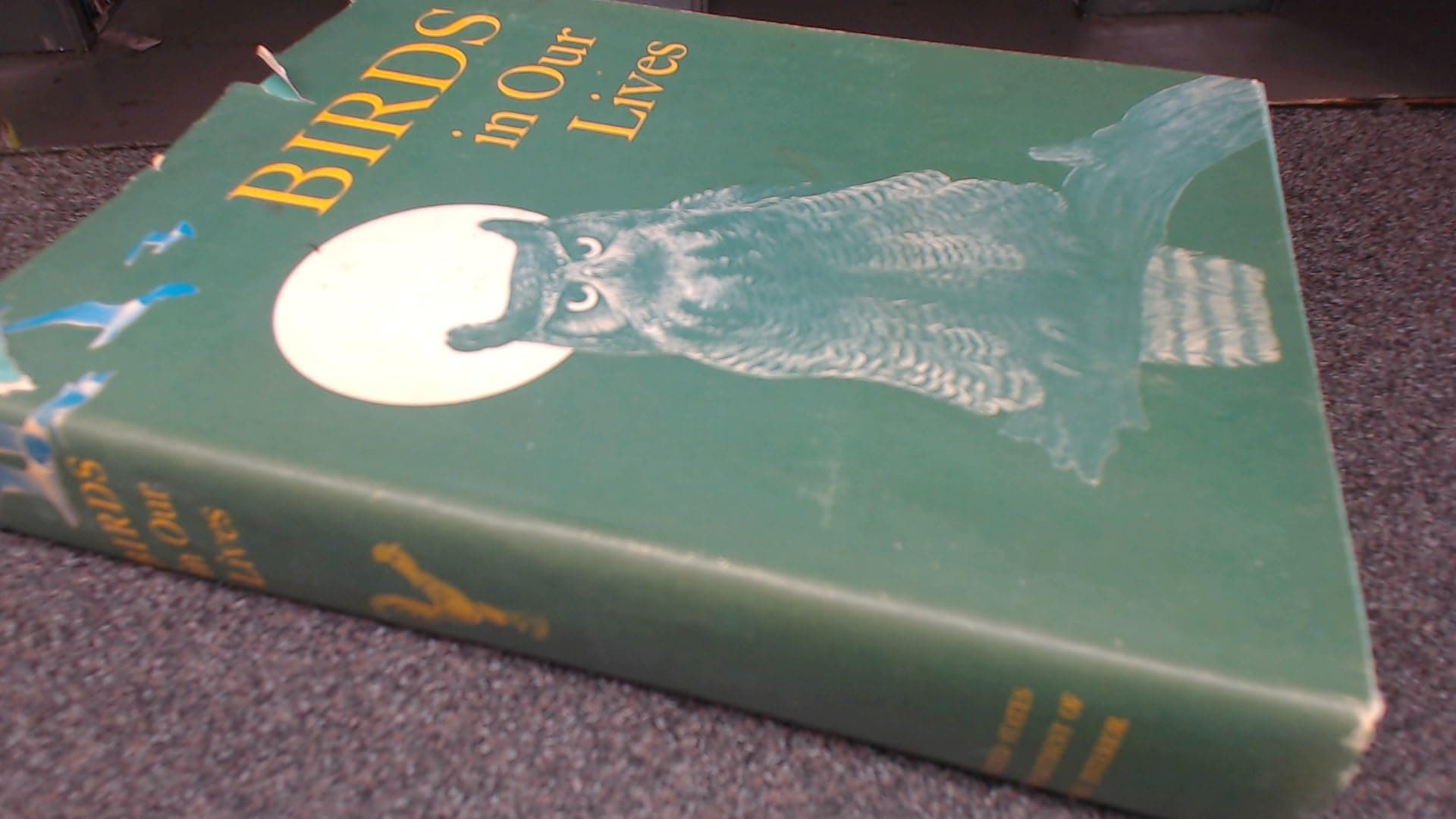 Birds in Our Lives [Hardcover] Alfred Stefferud and Bob Hines by null
