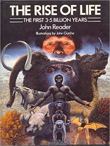 The Rise of Life: The First 3.5 Billion Years Reader, John by null