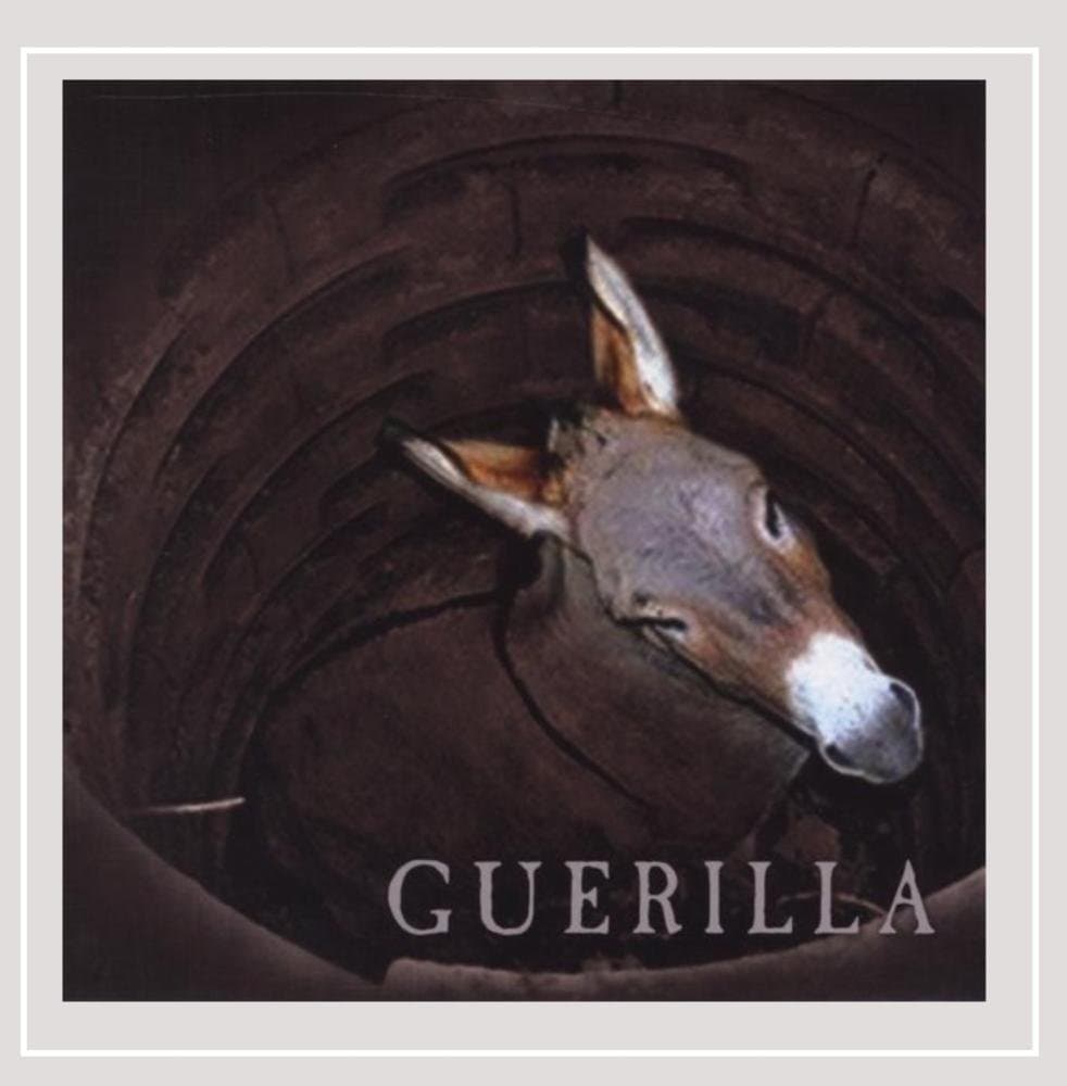 Guerilla [Audio CD] Tony Brook Band by null