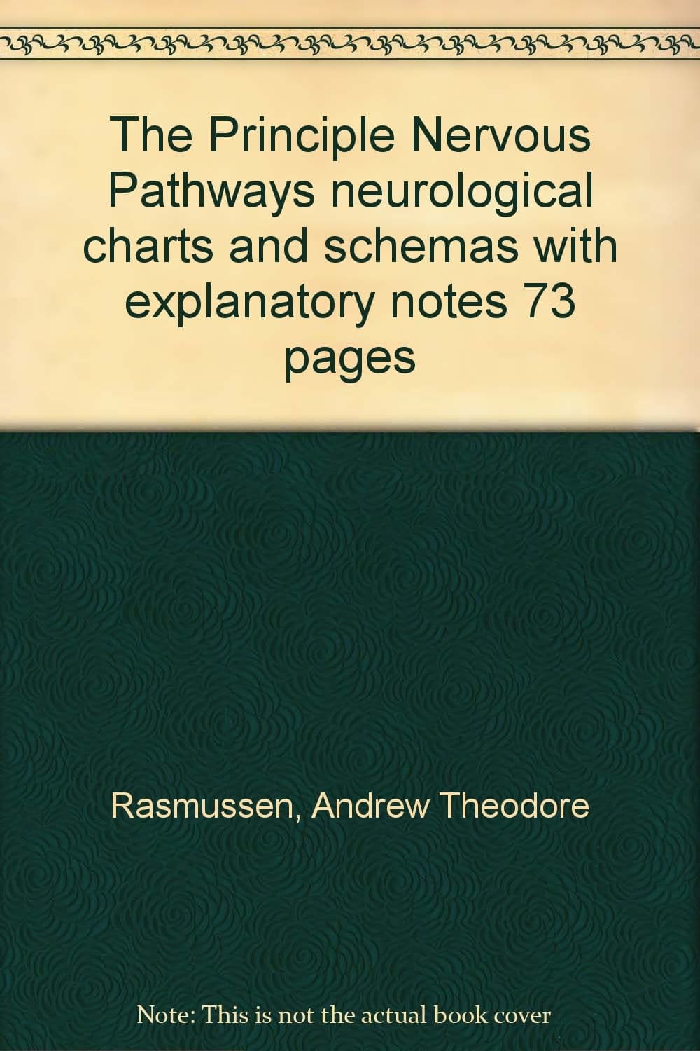 The Principle Nervous Pathways neurological charts and schemas with explanatory notes 73 pages [Hardcover] Andrew Theodore Rasmussen by null