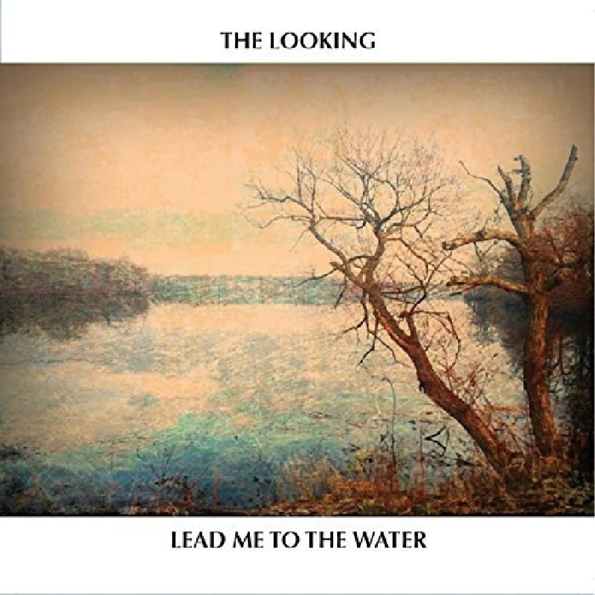 Lead Me To The Water [Audio CD] LOOKING by null
