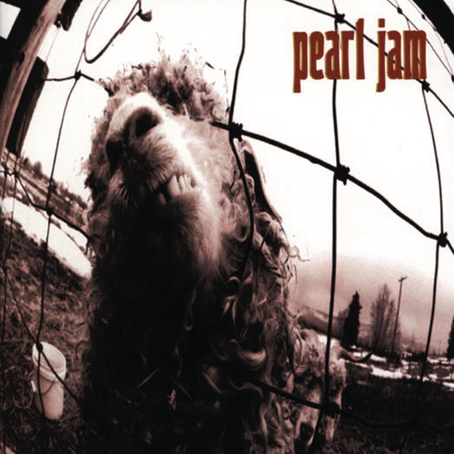 Vs. [Audio CD] Pearl Jam by null