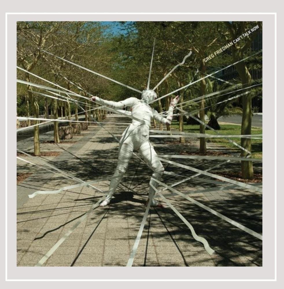 Can't Talk Now [Audio CD] Greg Friedman by null