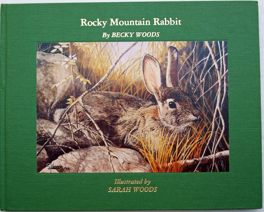 A Rocky Mountain Rabbit Woods, Becky by null