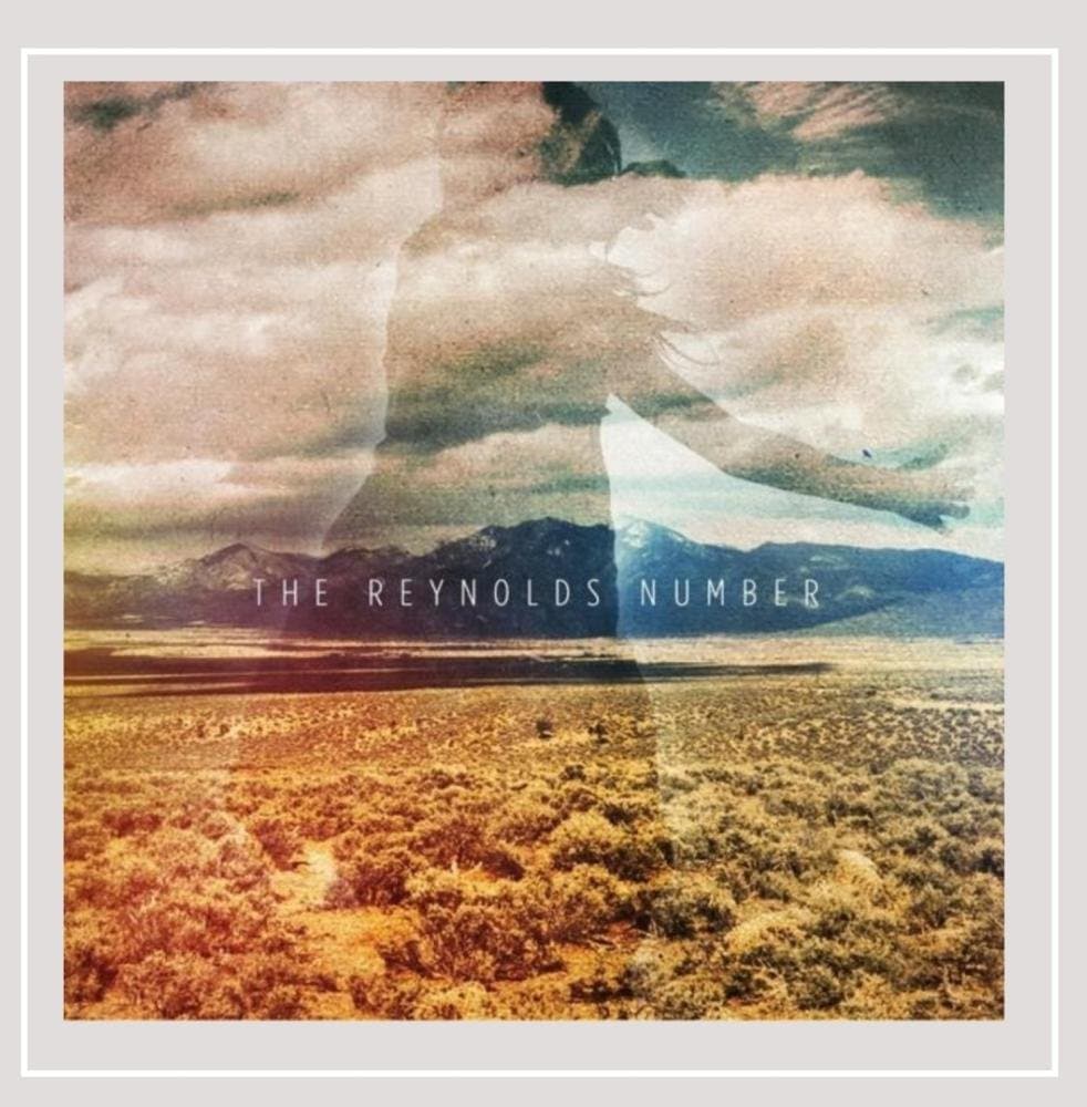 Reynolds Number [Audio CD] The Reynolds Number by null