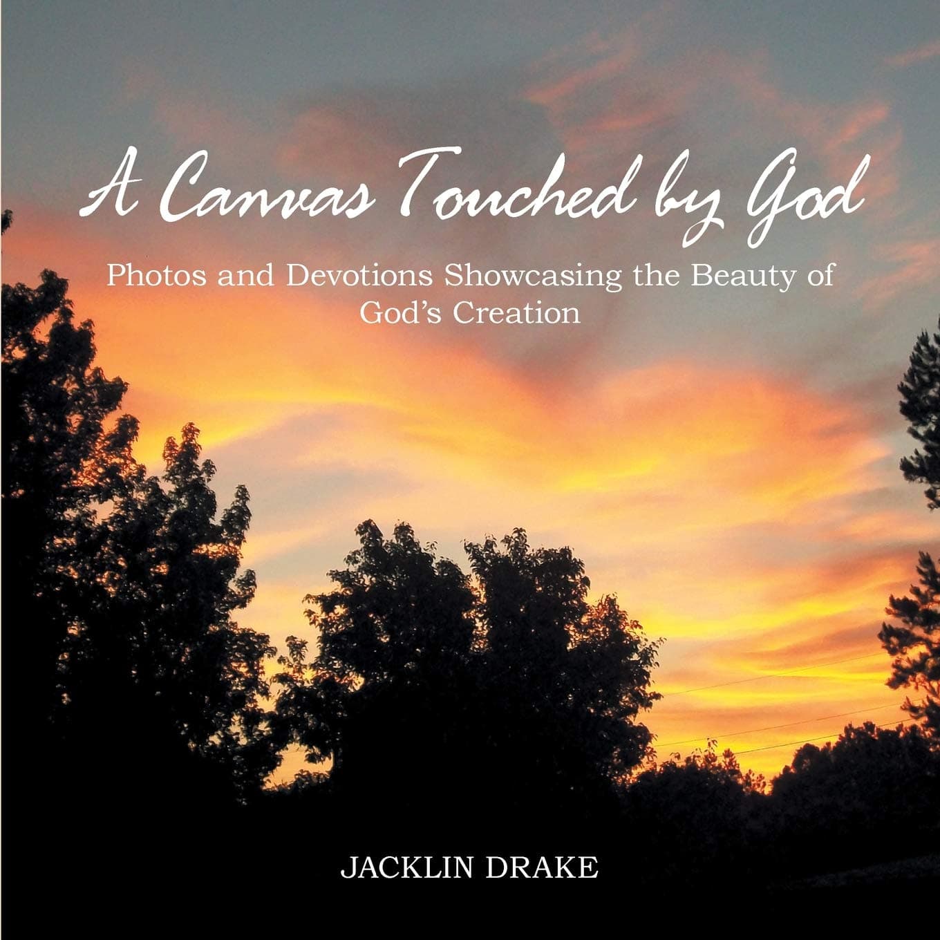 A Canvas Touched by God: Photos and Devotions Showcasing the Beauty of God'S Creation [Paperback] Drake, Jacklin by null