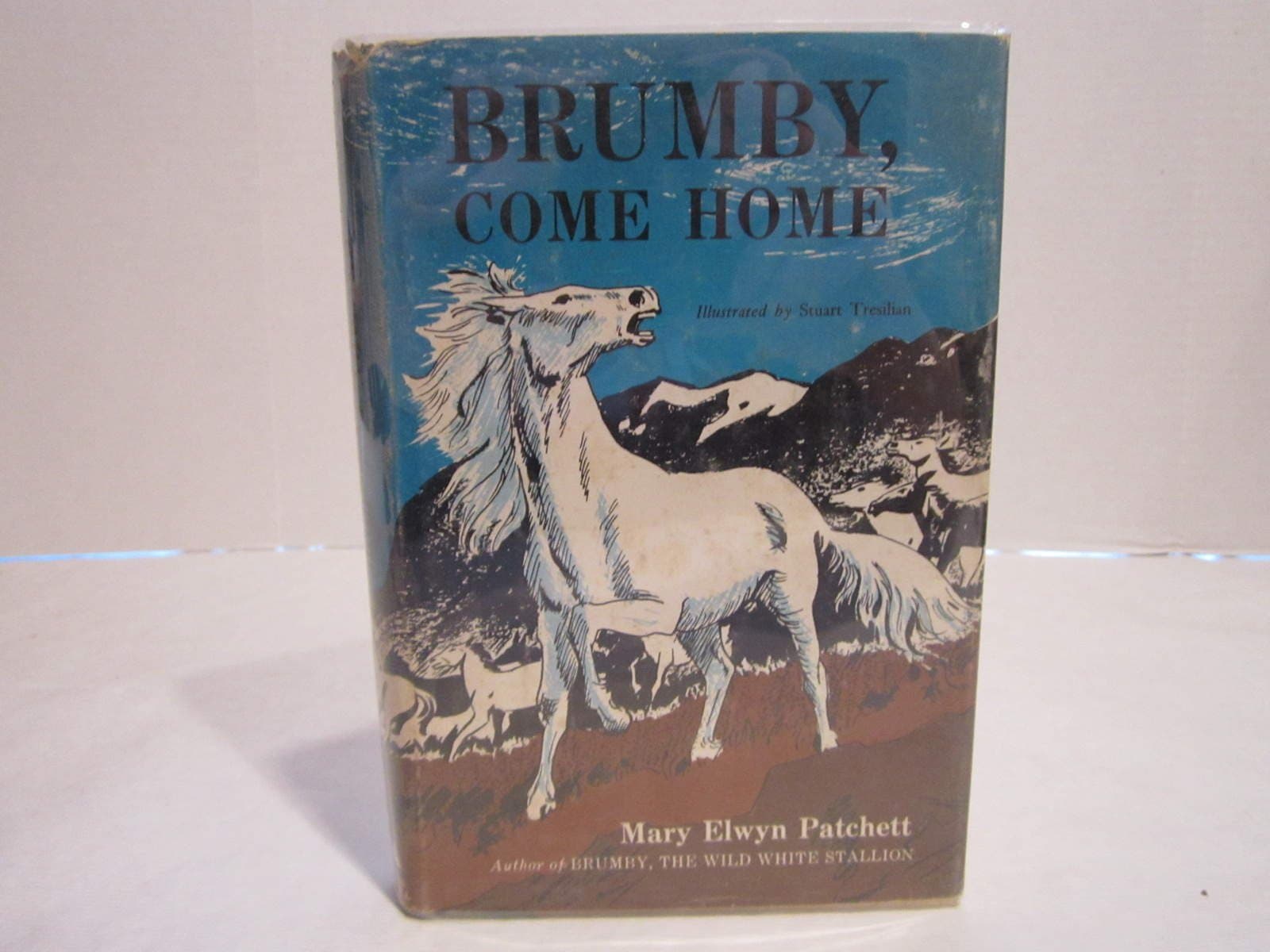 Brumby Come Home [Hardcover] Mary Elwyn Patchett by null
