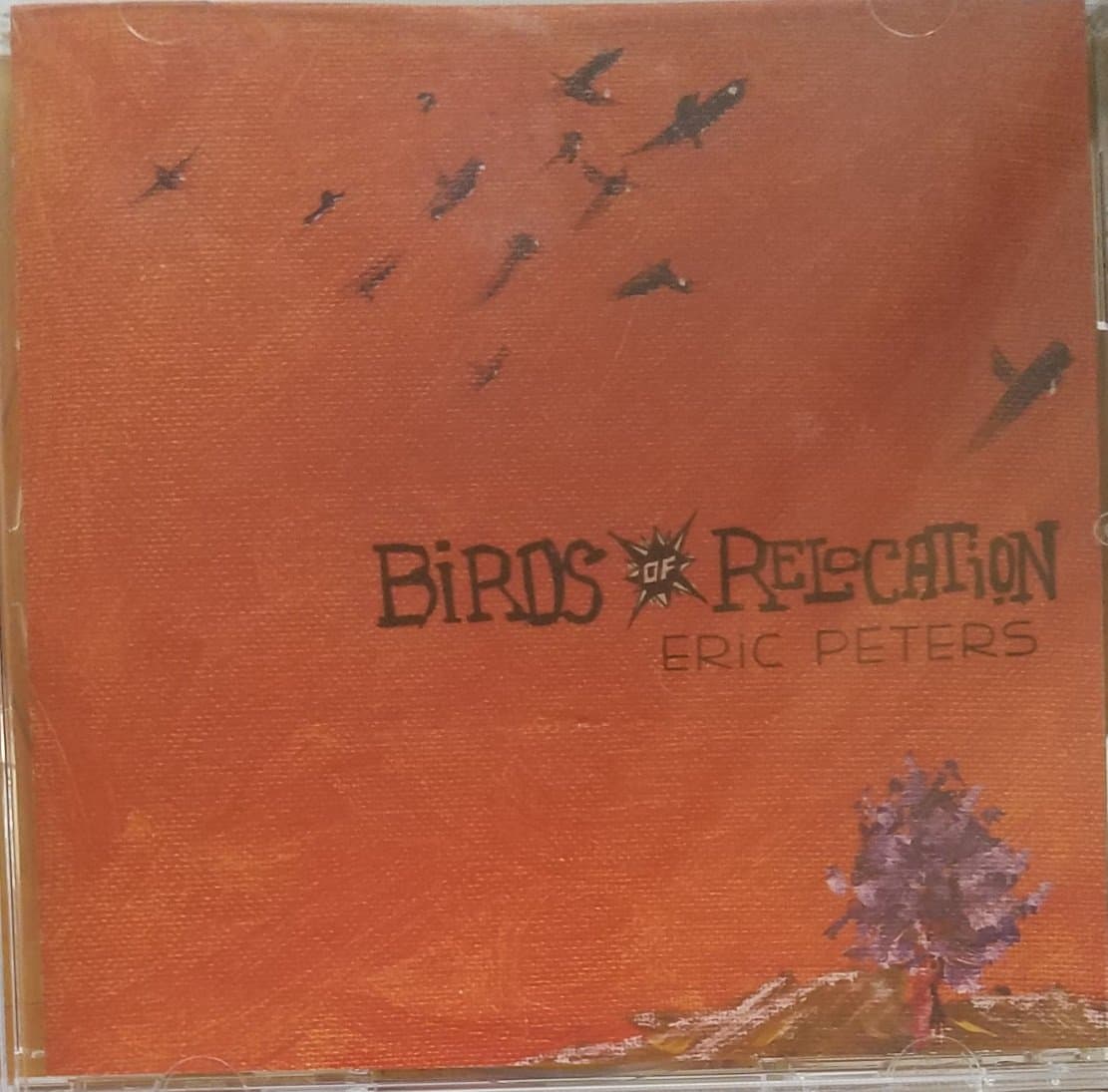 Birds Relocation [Audio CD] by null