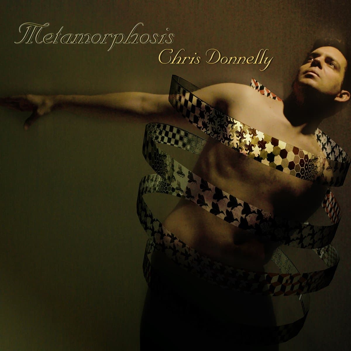 Metamorphosis [Audio CD] DONNELLY,CHRIS by null