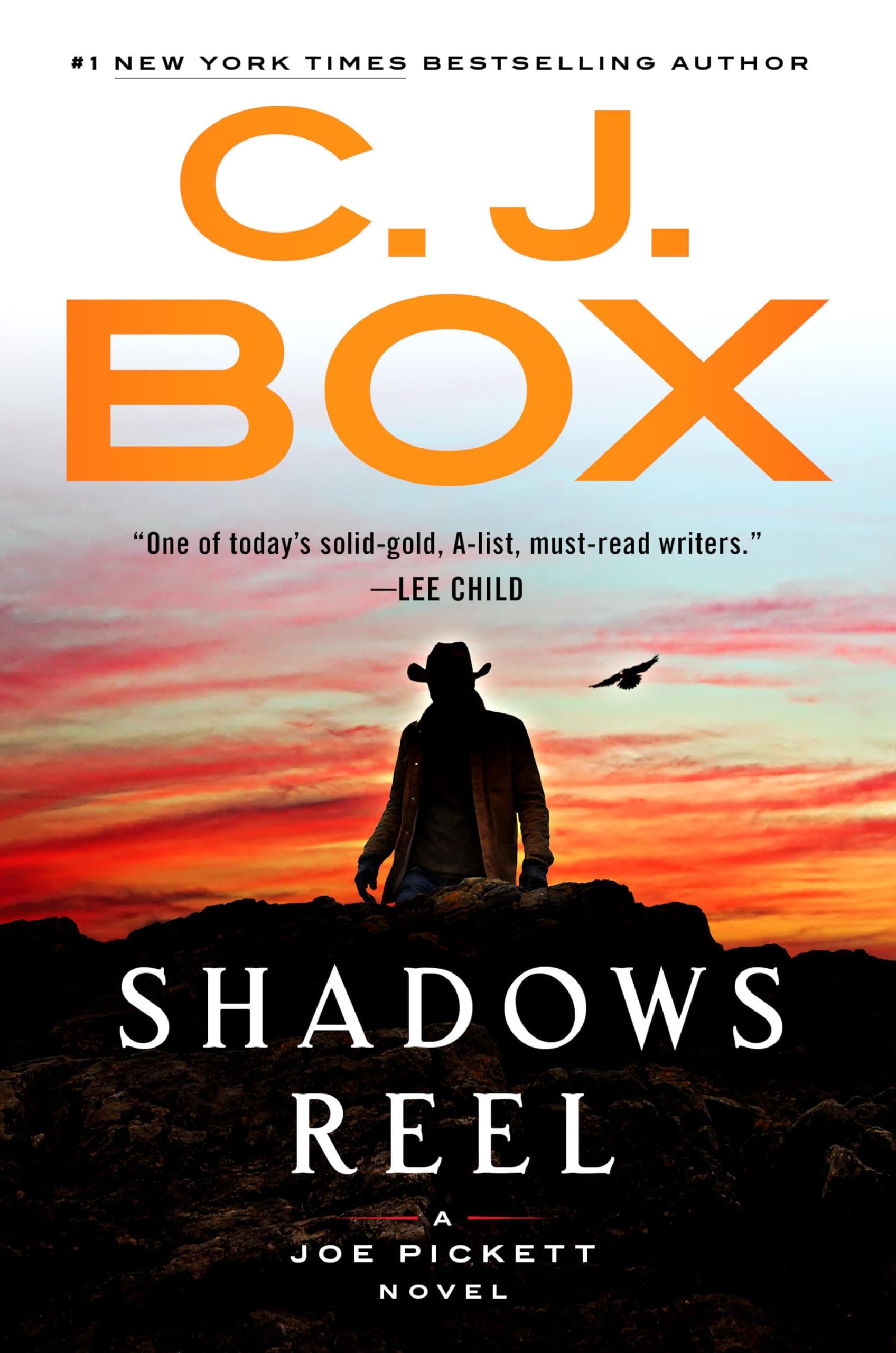 Shadows Reel (A Joe Pickett Novel) [Hardcover] Box, C. J. by null