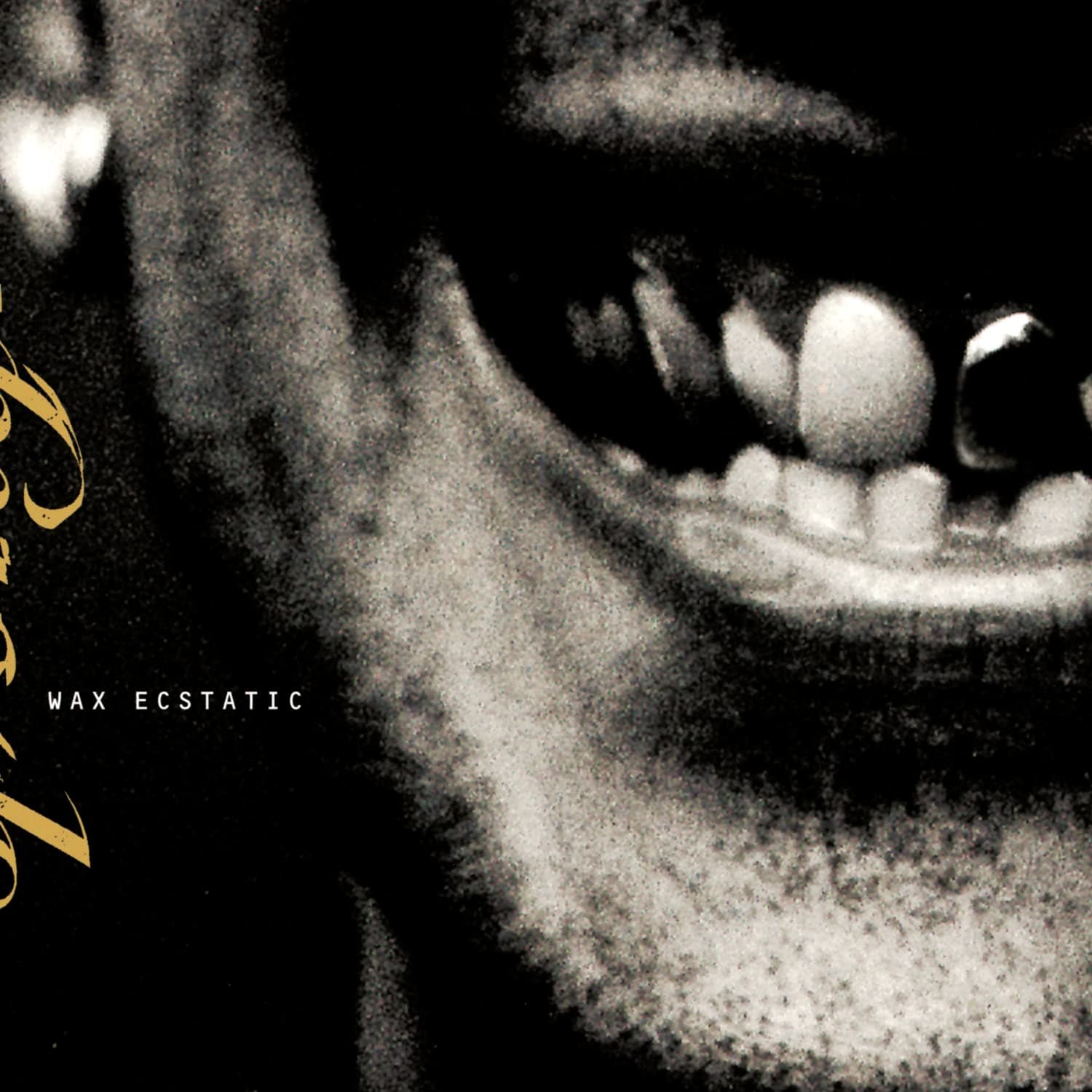 Wax Ecstatic [Audio CD] Sponge by null
