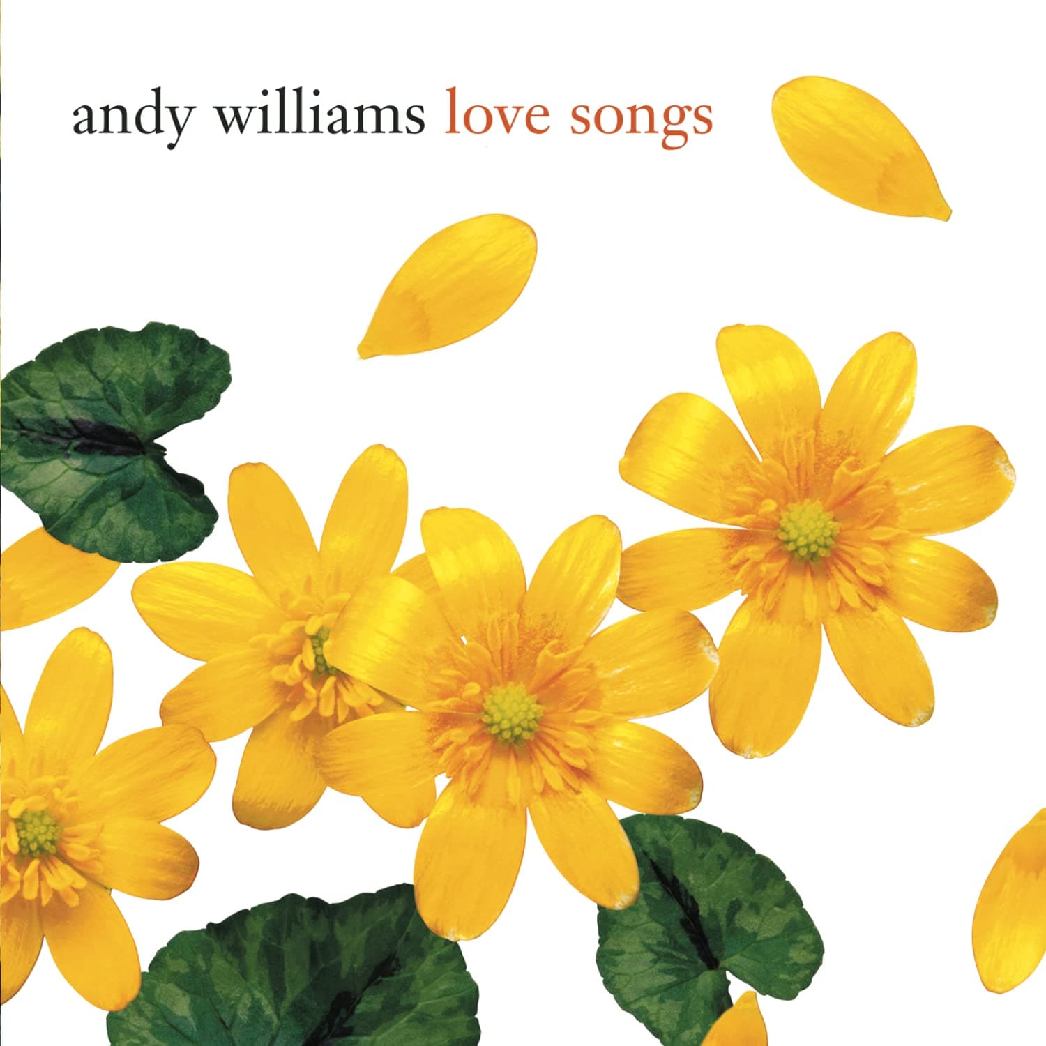 Love Songs [Audio CD] Andy Williams by null