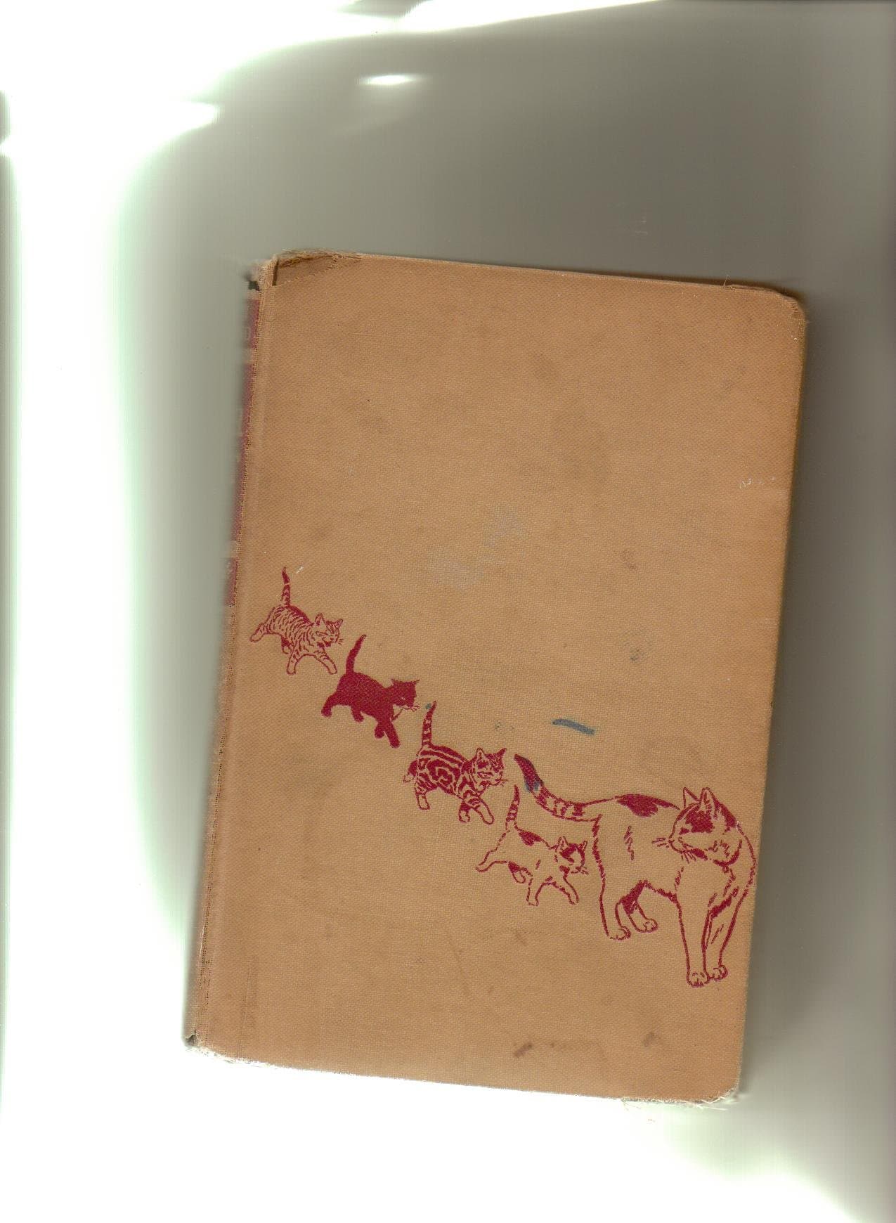 Our cat [Hardcover] IRELAND, Baron by null