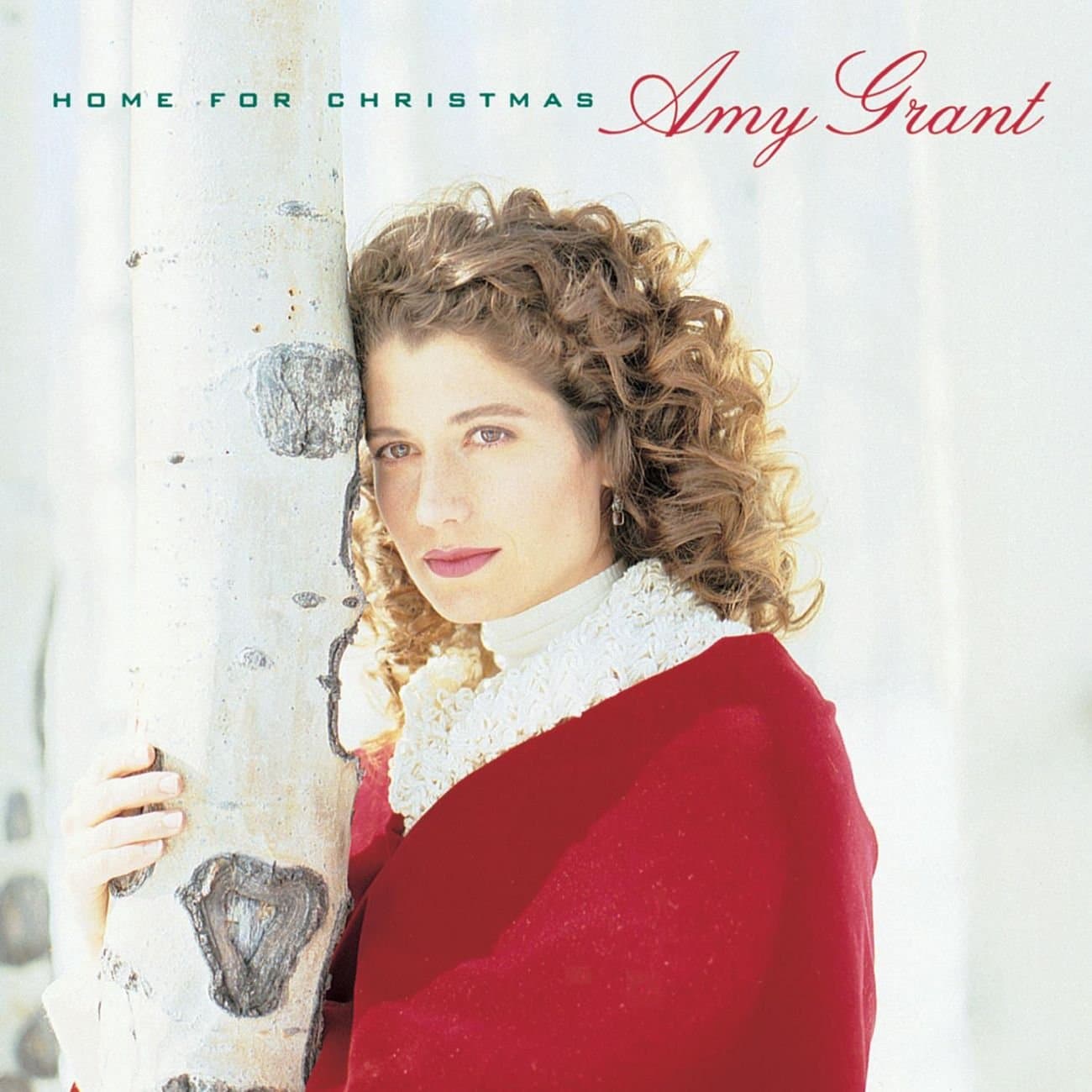 Home for Christmas [Audio Cassette] Grant, Amy by null