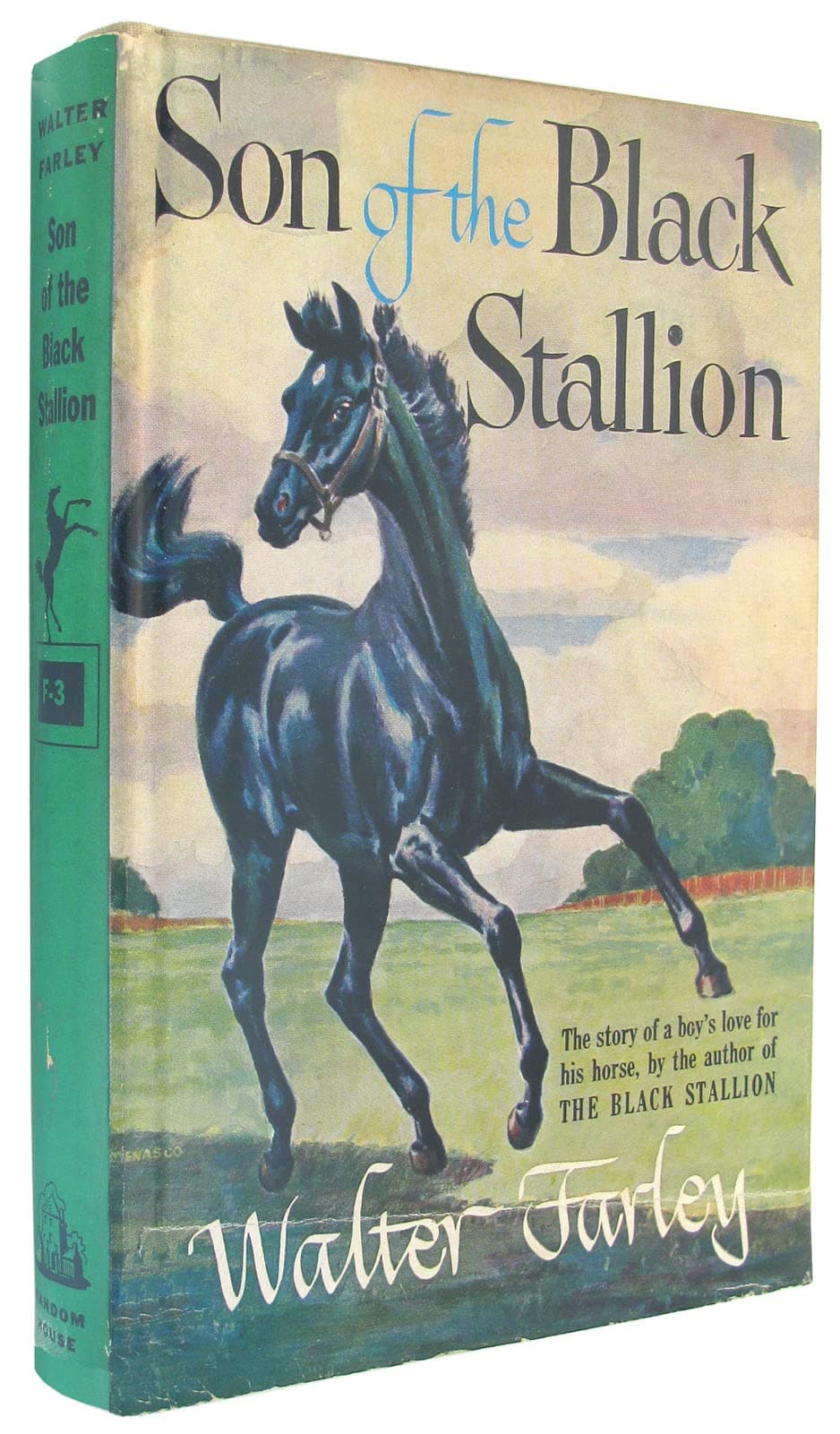 Sun of the Black Stallion [Hardcover] Walter Farley and Milton Menasco by null