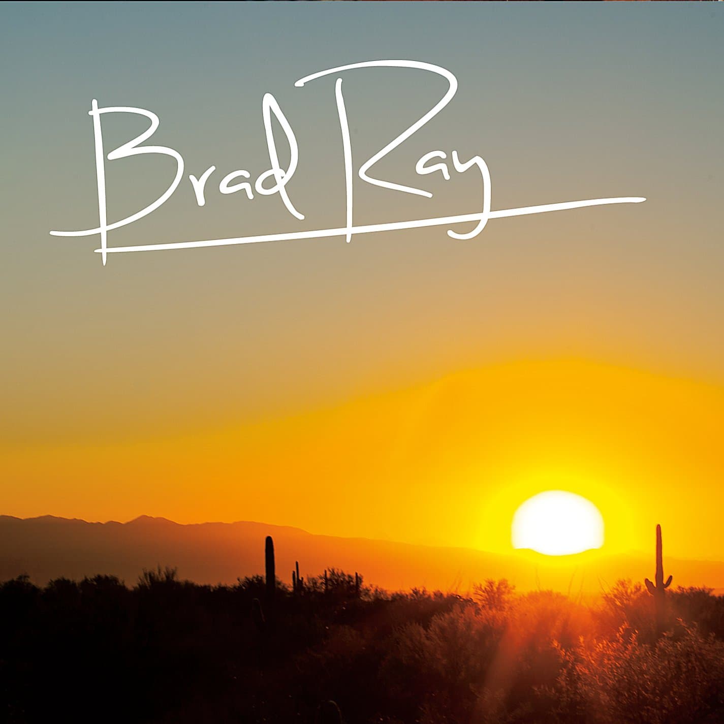 Brad Ray [Audio CD] Ray, Brad