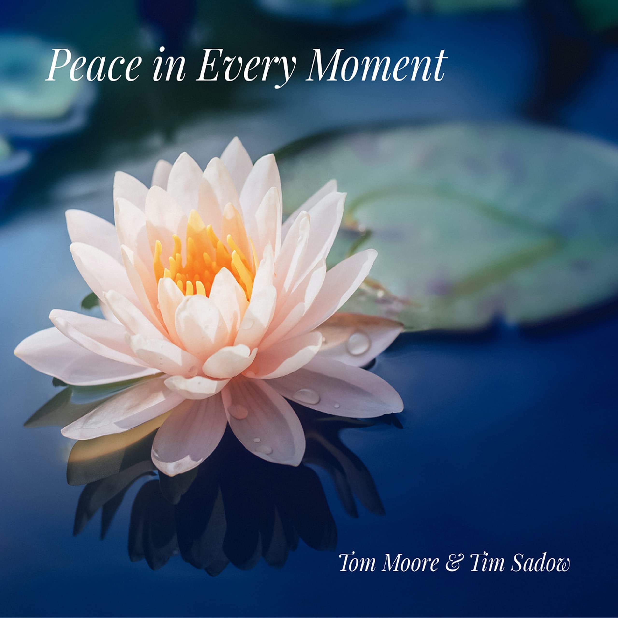 Peace In Every Moment [Audio CD] Tom Moore & Tim Sadow by null