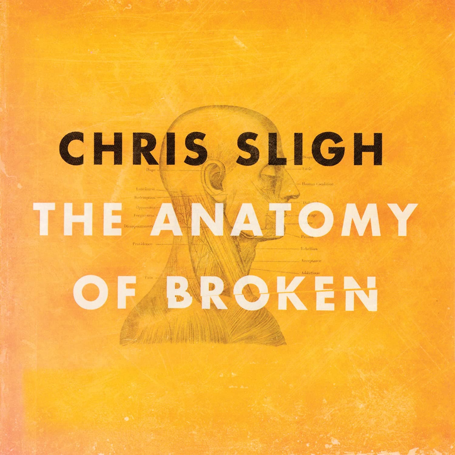 The Anatomy Of Broken [Audio CD] Chris Sligh by null