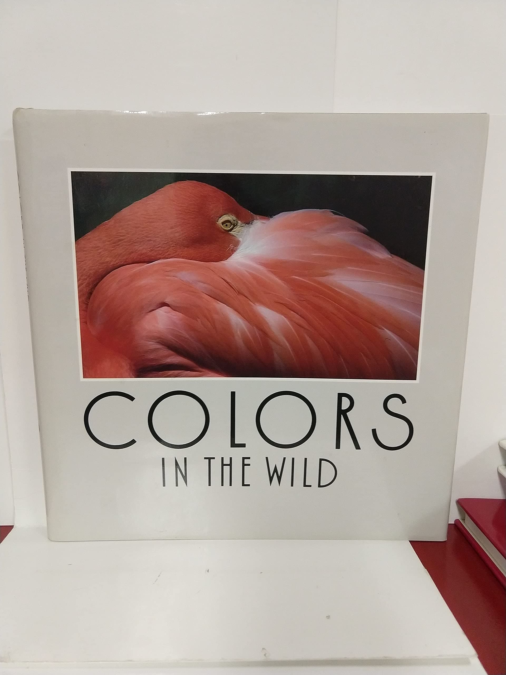 Colors in the Wild Furlow, Elaine by null
