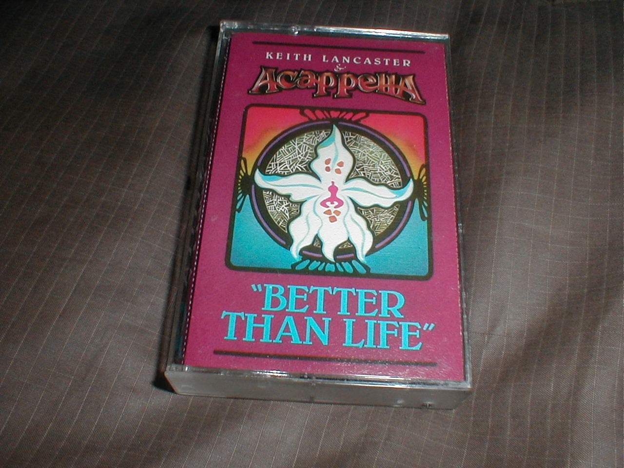 Better Than Life [Audio Cassette] Acappella by null