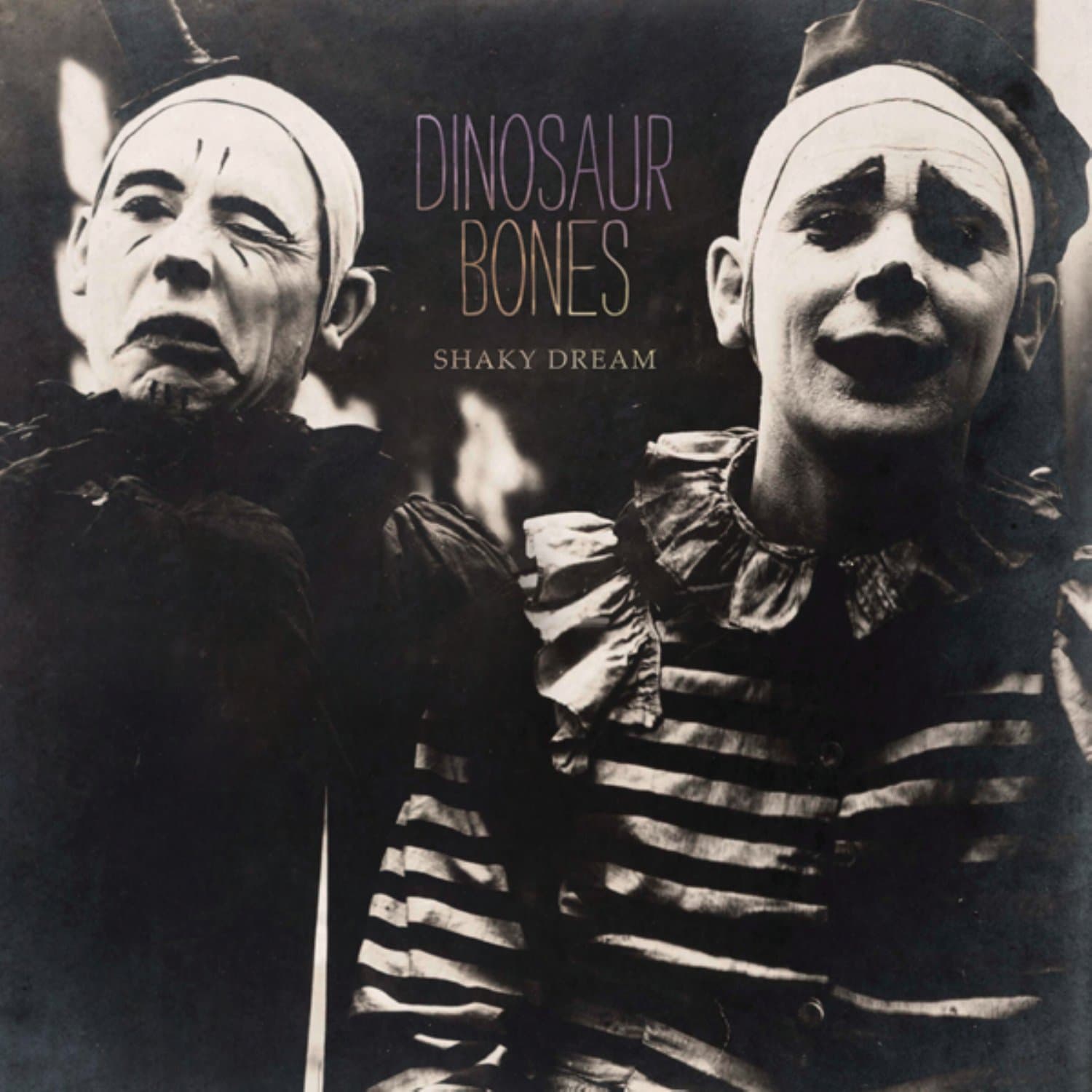 Shaky Dream [Audio CD] Dinosaur Bones by null